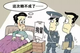 兴安债务清欠服务